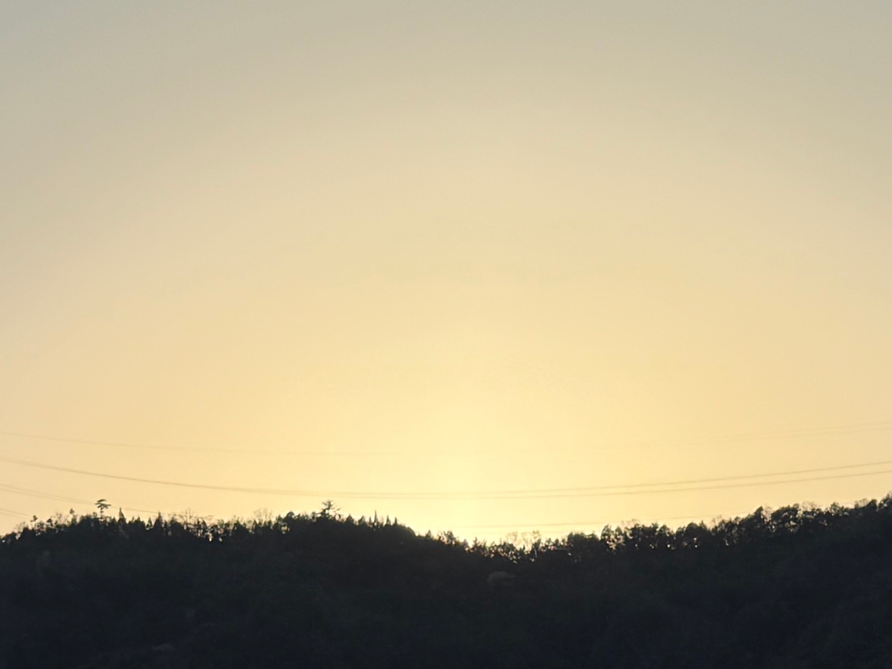 マイポイント【1】への釣行